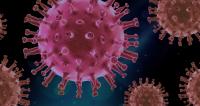 Picture coronavirus